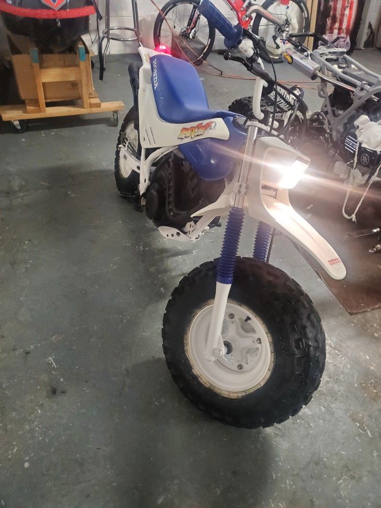 Honda Fat Cat