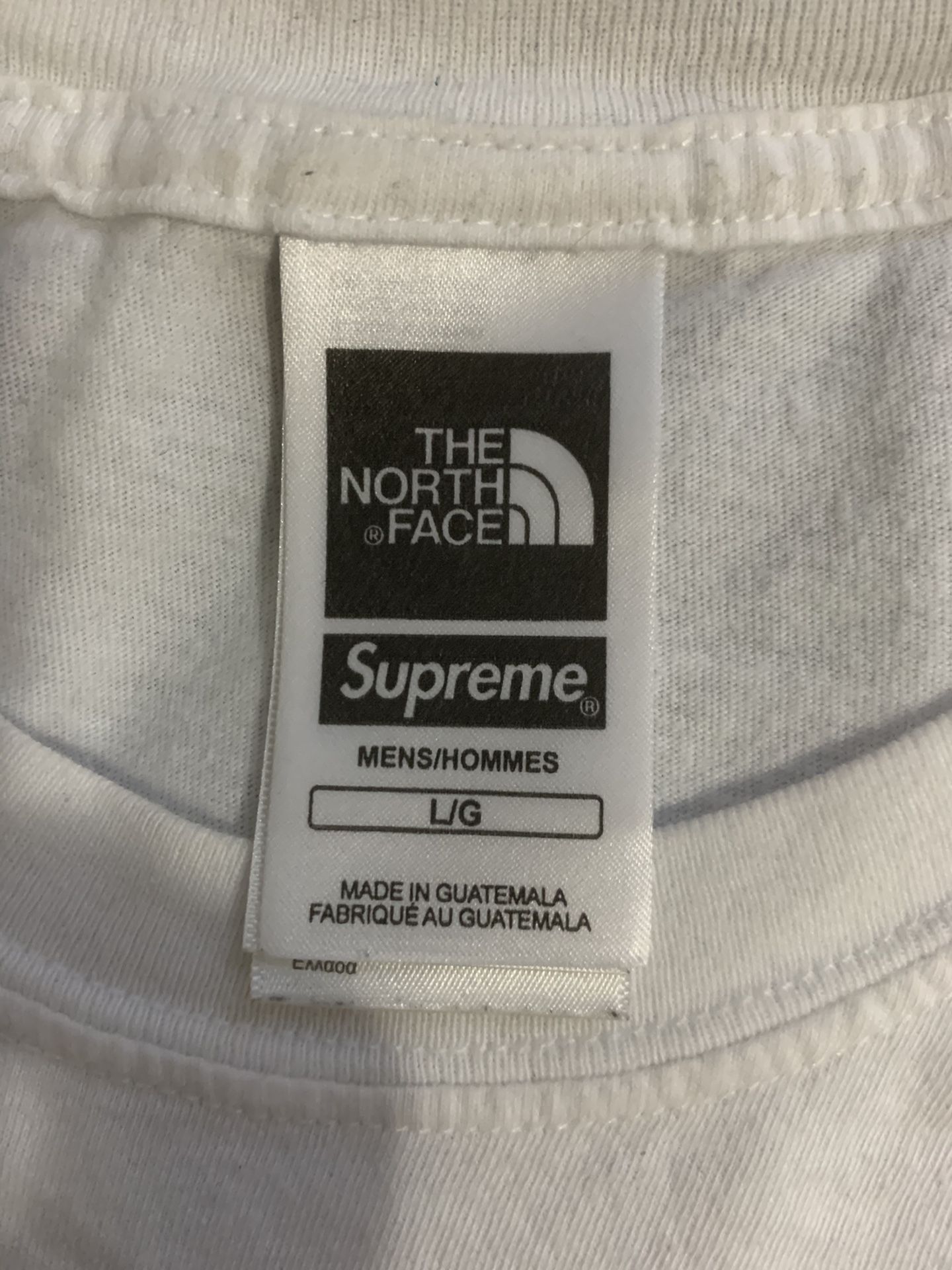 Supreme North Face collaboration Metallic logo Size L