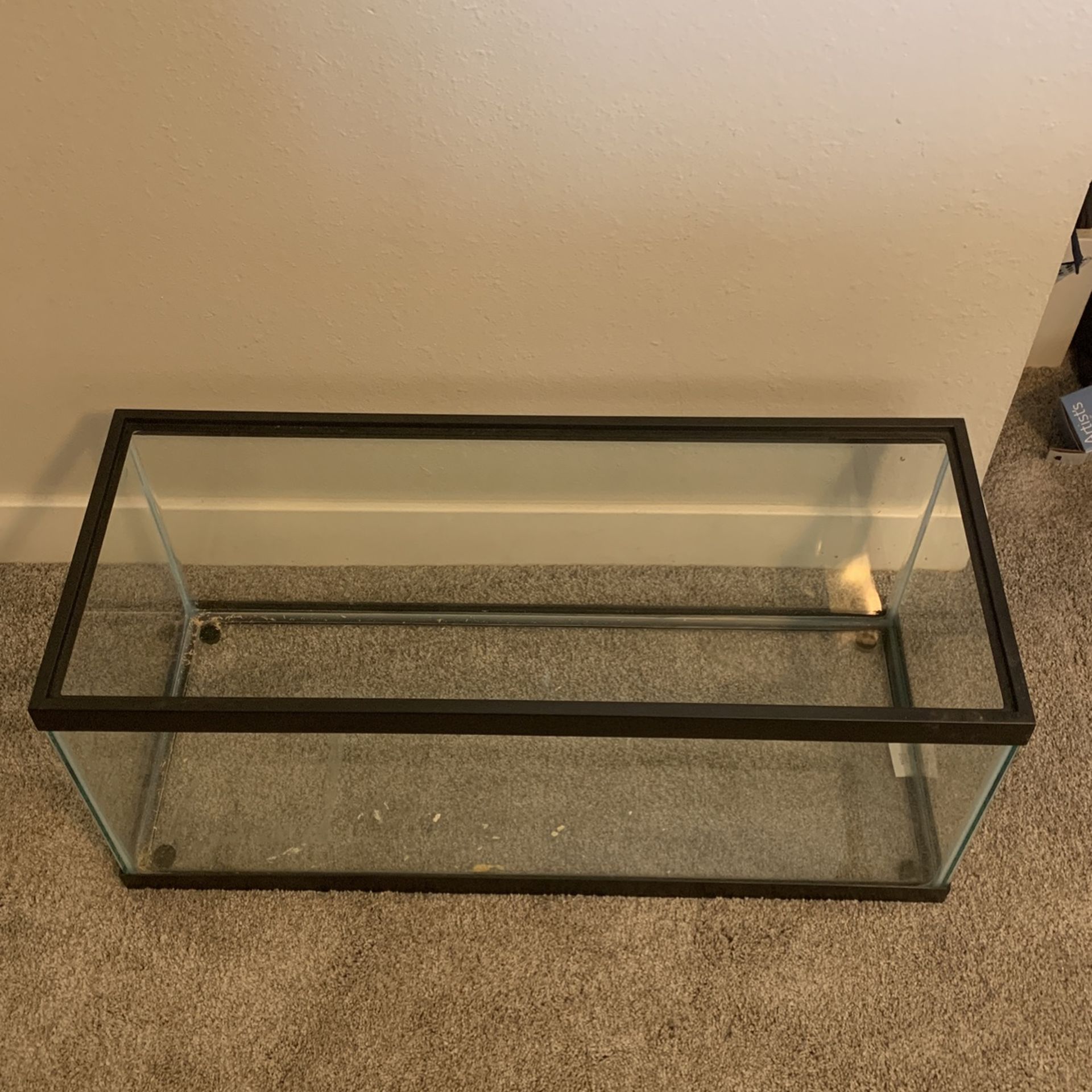 20 Gallon Fish Tank