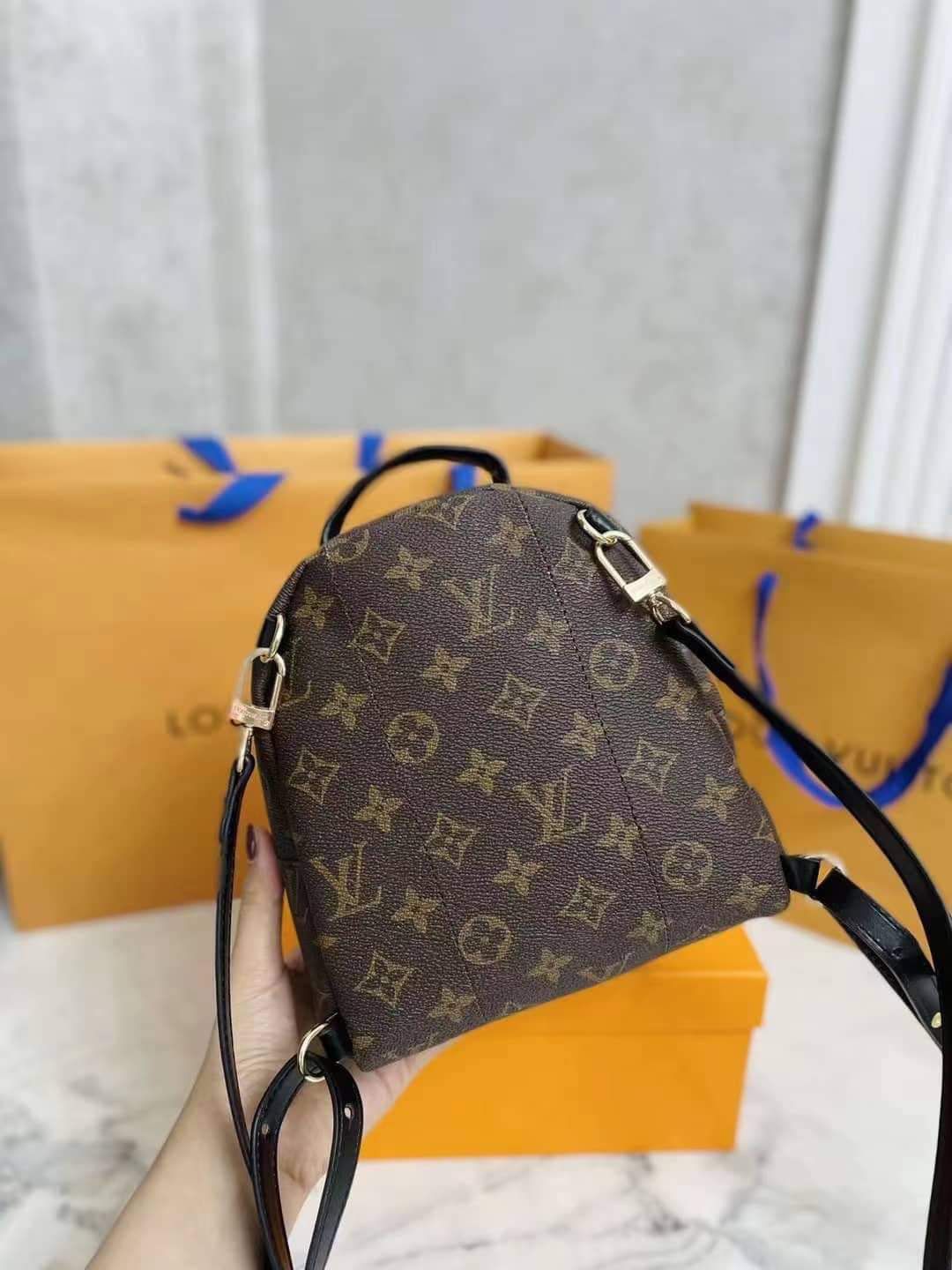 Louis Vuitton Backpack Mini  