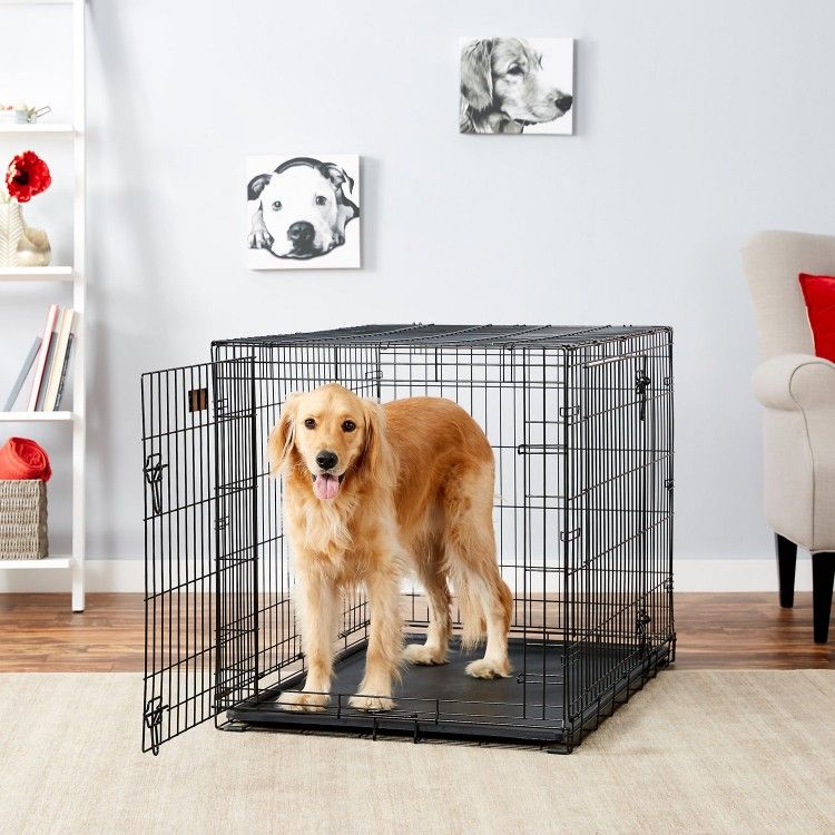 MidWest iCrate Fold & Carry Double Door Collapsible Wire Dog Crate