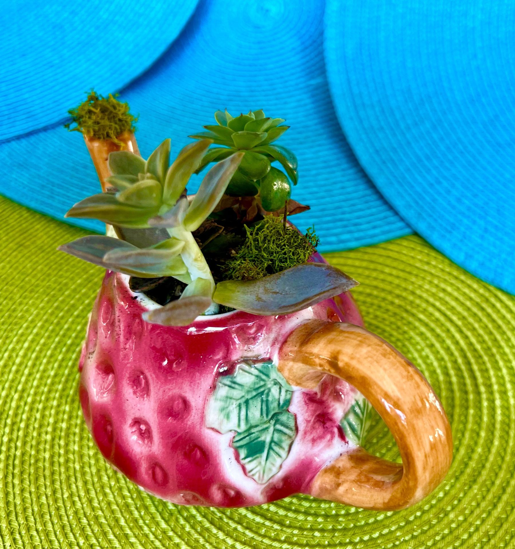 Beautiful vintage strawberry tea kettle filled with Live succulents stones and moss