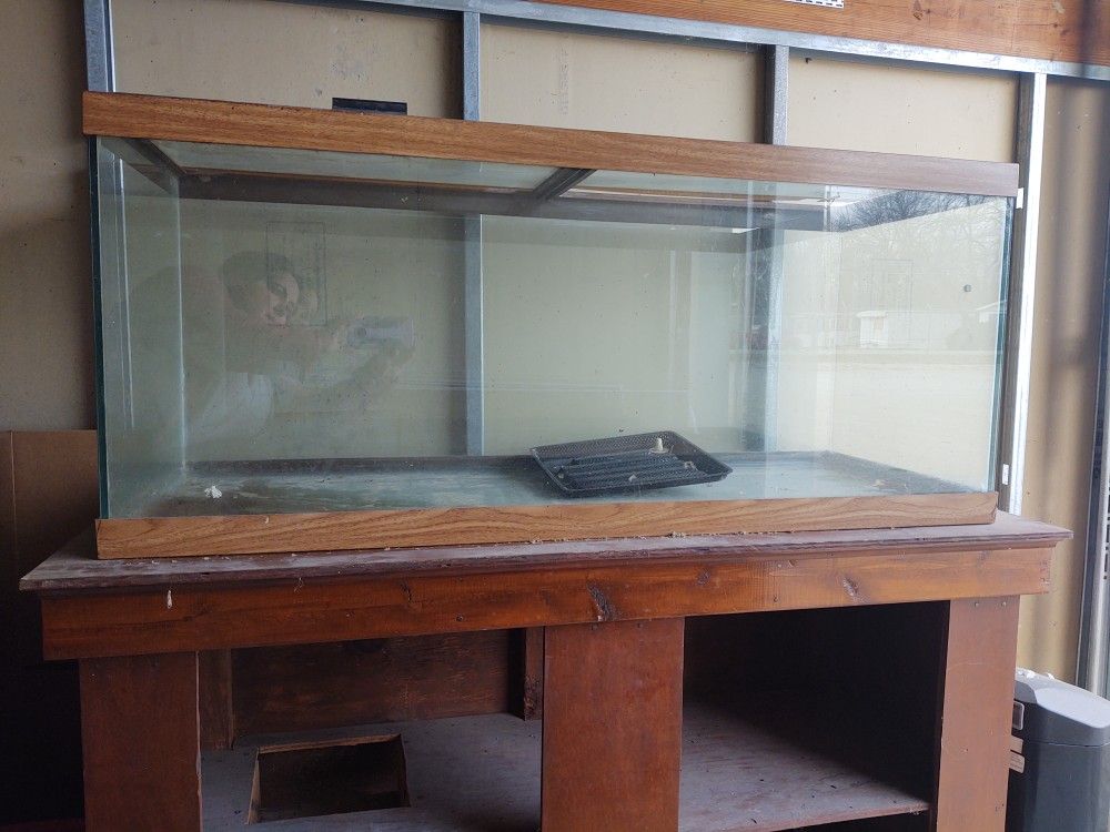 75 gallon Aquarium With Stand