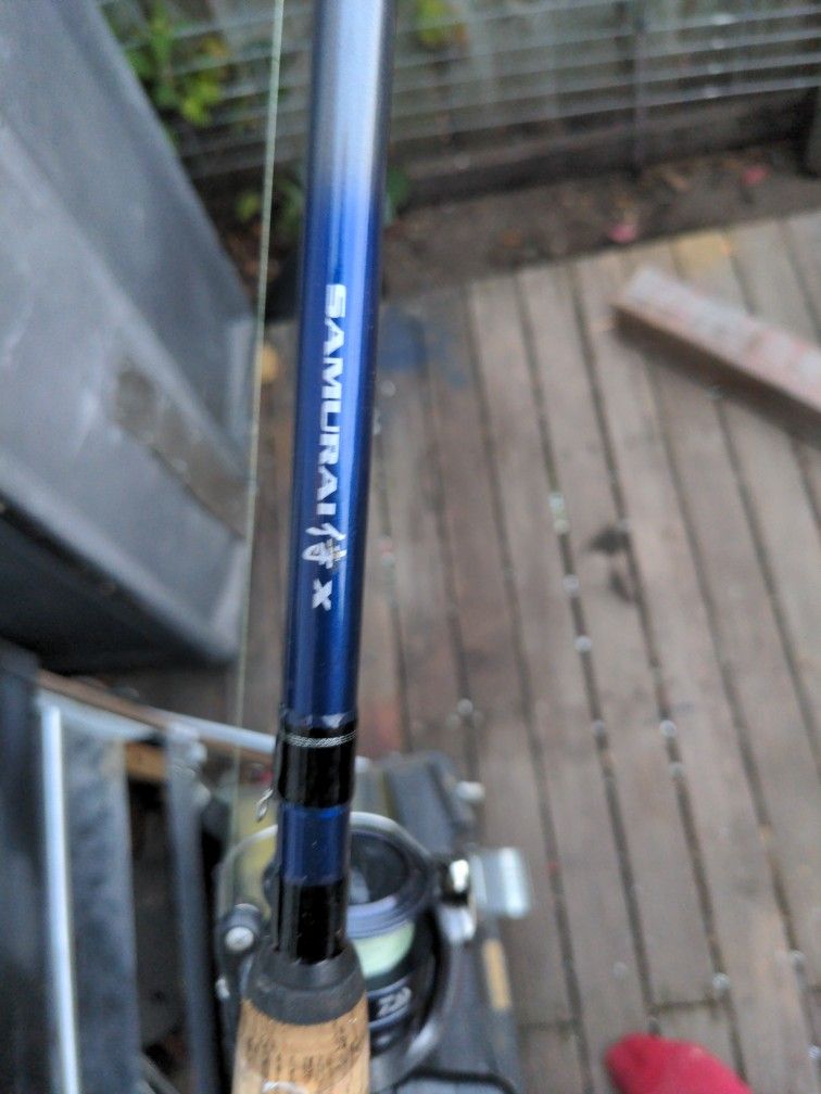 Fishing Rod/Reel