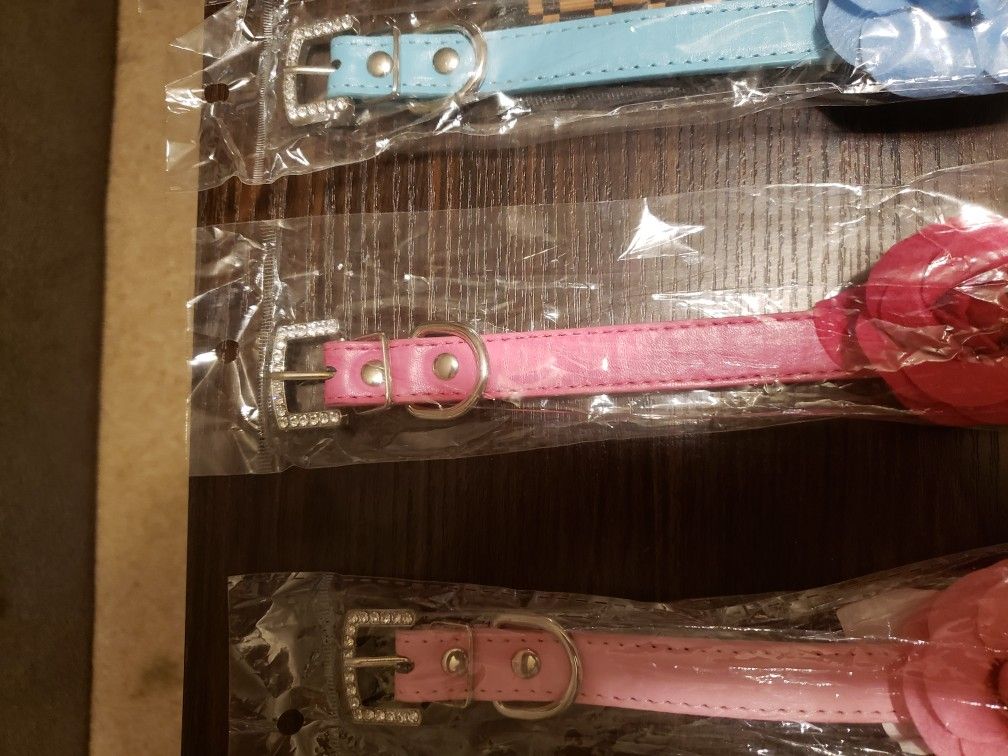 Various Size/Colors Dog Collar 🐕🐶
