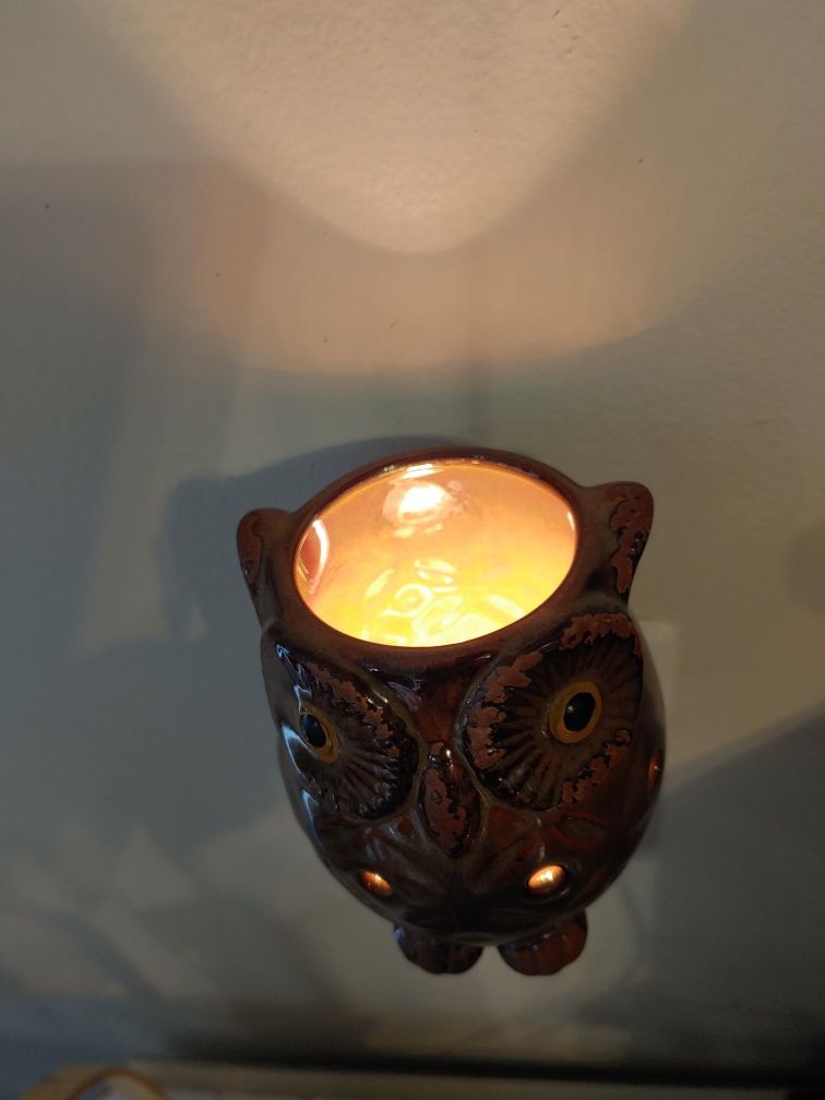 Owl Night Light Lamp Ceramic Decor Wall Plug Animal