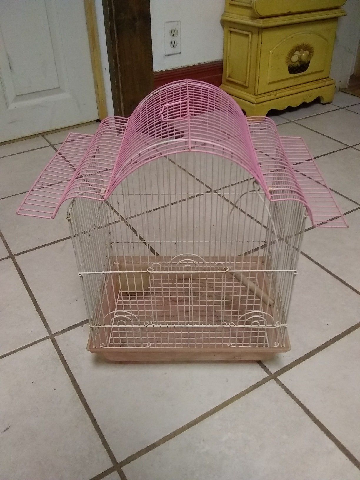 Bird Cage 🐦