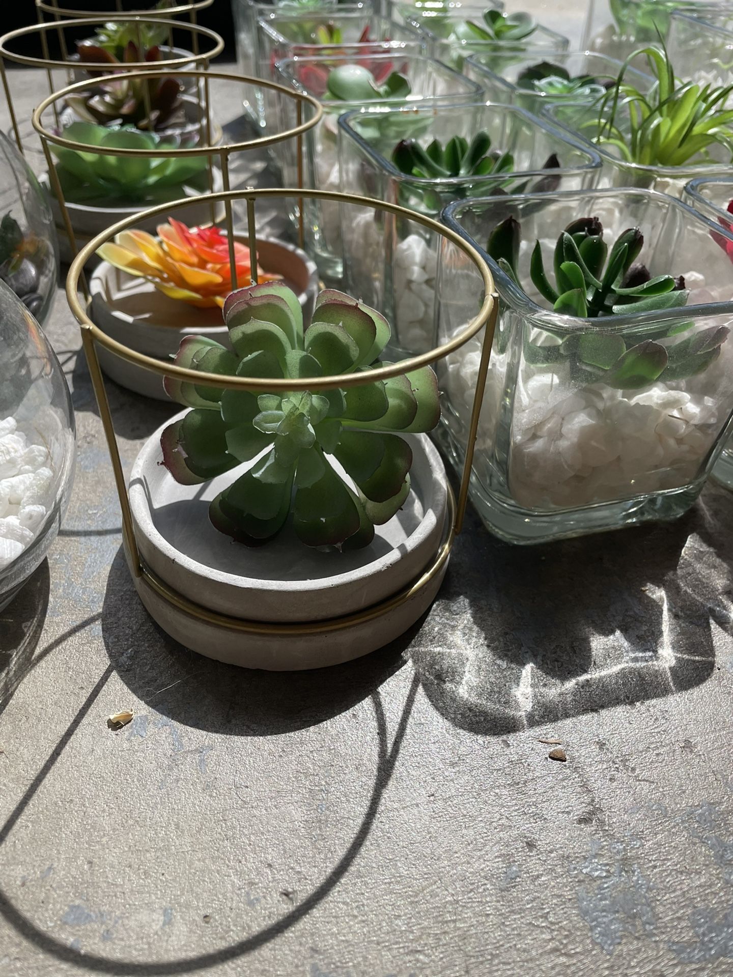 Faux Succulent Centerpieces/decor