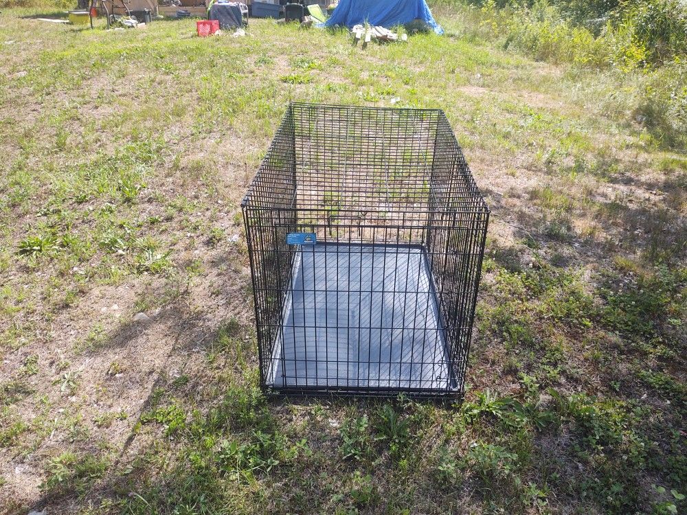 Kennel