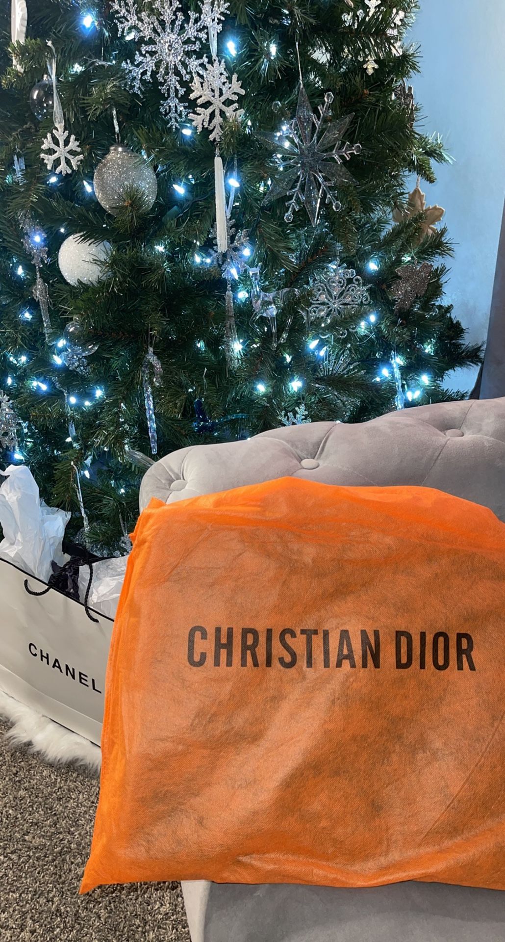 Christian Dior Bag