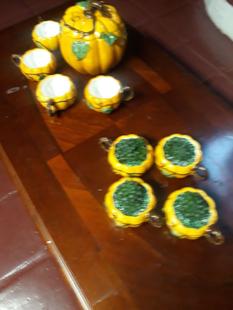 Pumpkin Cup With Cooperii Suc.