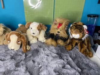 Large Lot Of Beanie Babies  Thumbnail
