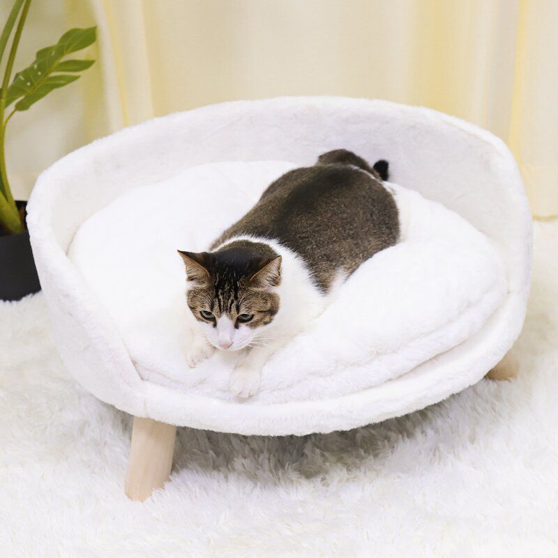 Brand new Great for cats or small dogs! Raised soft bed couch