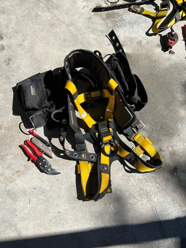 Harness