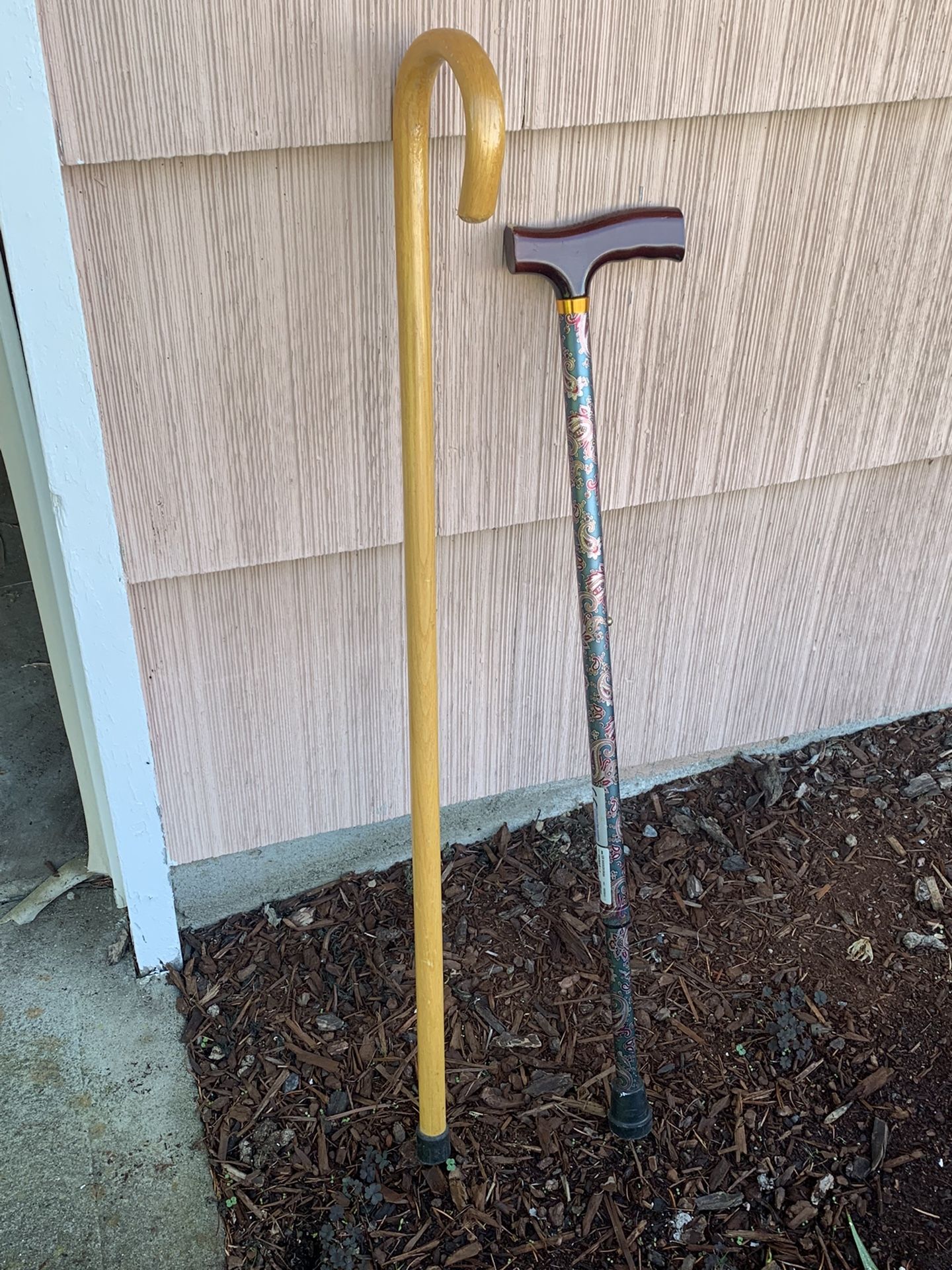 Cane