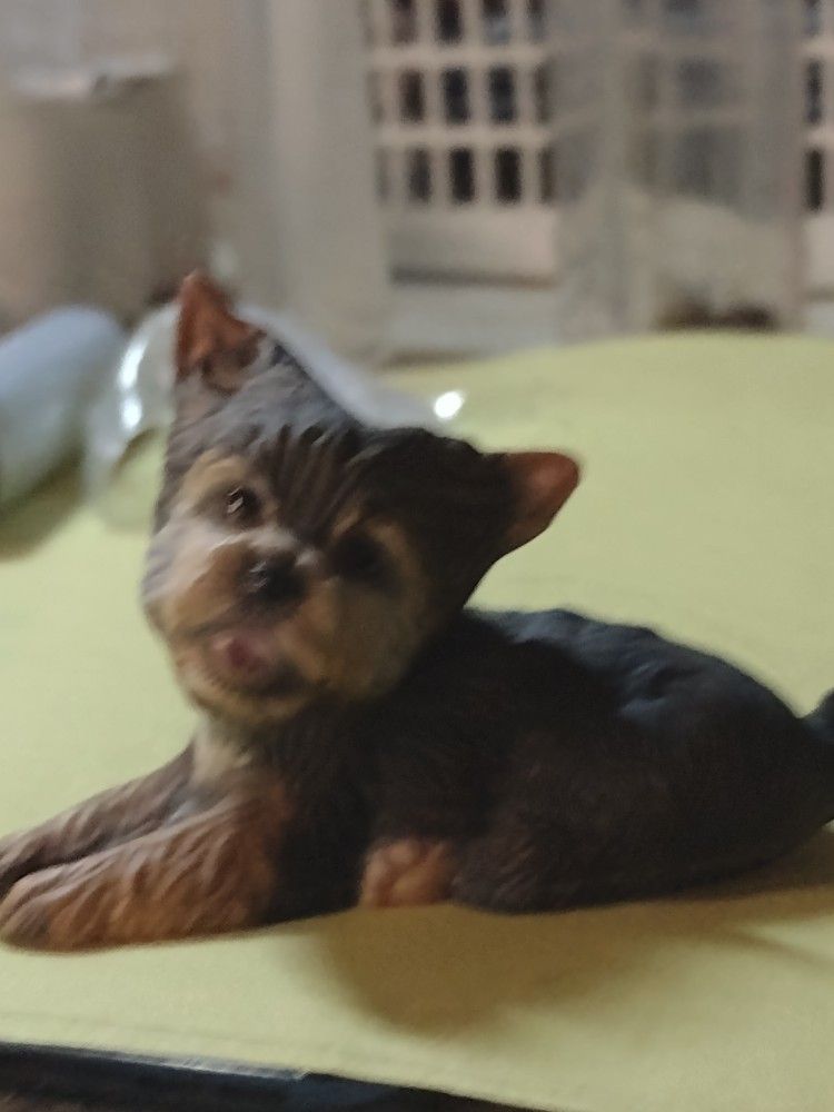 Lennox DogTerrier Figurine