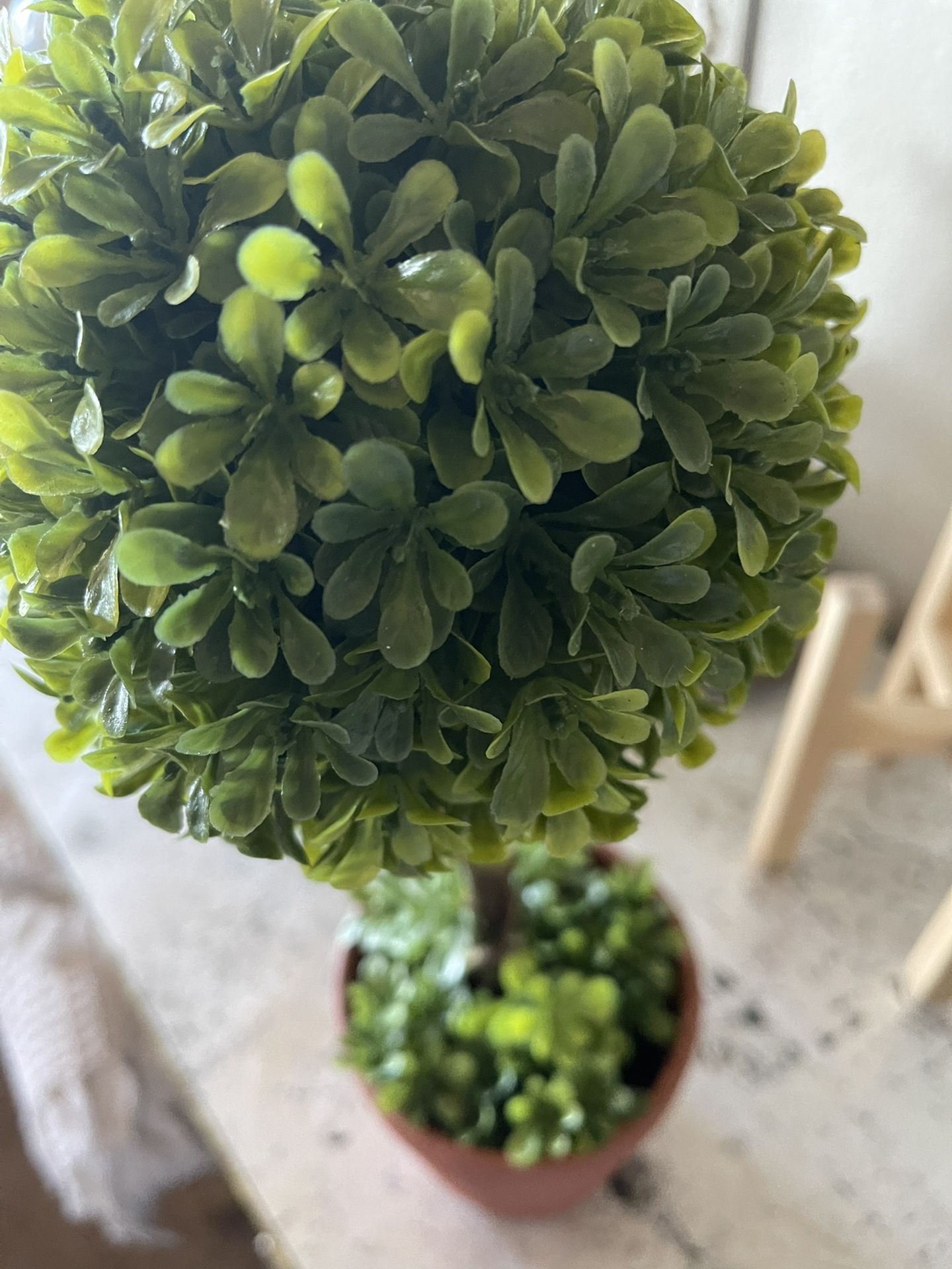 Faux Terra Cotta Topiary Plant And Stand