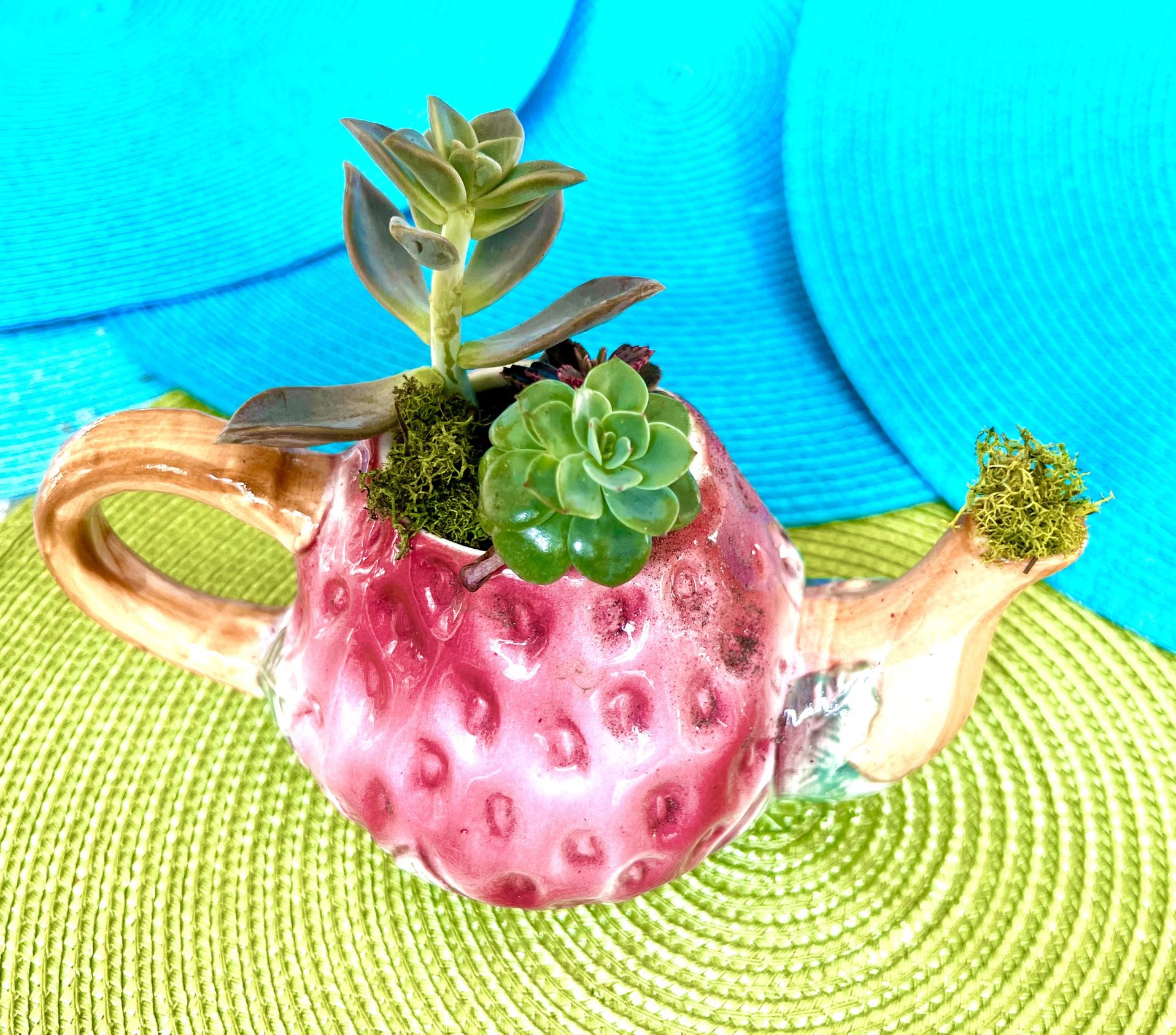  Beautiful vintage strawberry tea kettle filled with Live succulents stones and moss