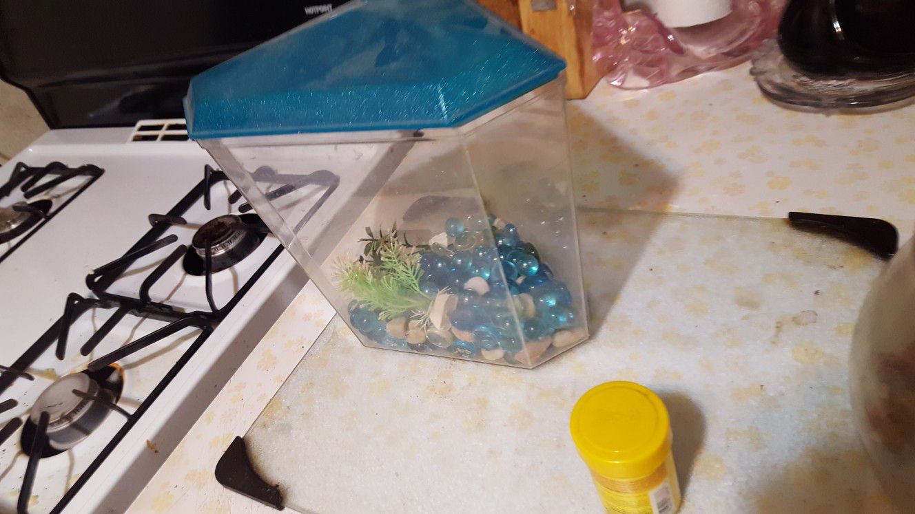 CUTE SMALL FISH TANK WITH BETA FISH FOOD AS WELL AS ALL THE DECOR ASKING $20 MUST PICK UP 73RD AVE AND INDIAN SCHOOL WILLING TO MAKE DEAL'S CHECK OUT 