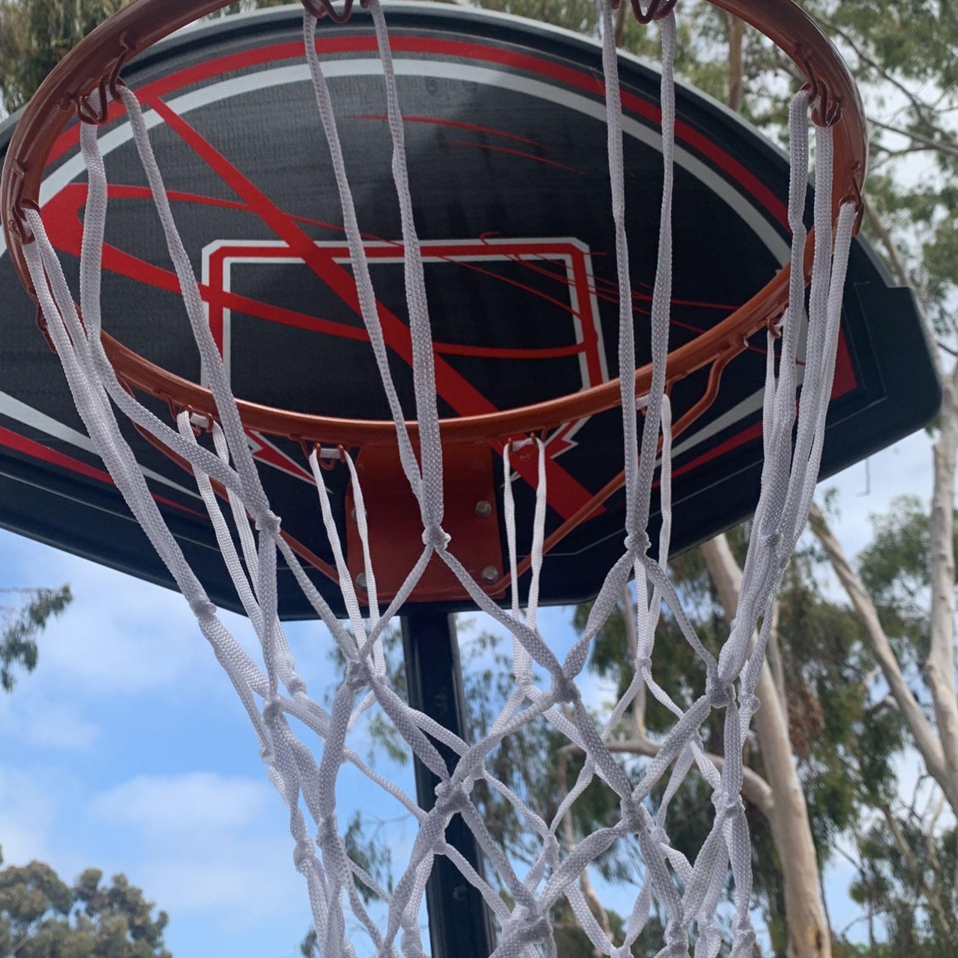 Basketball Hoop With Basketball