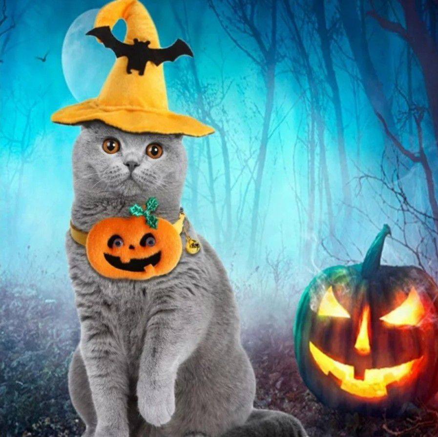 Halloween Cat Costume