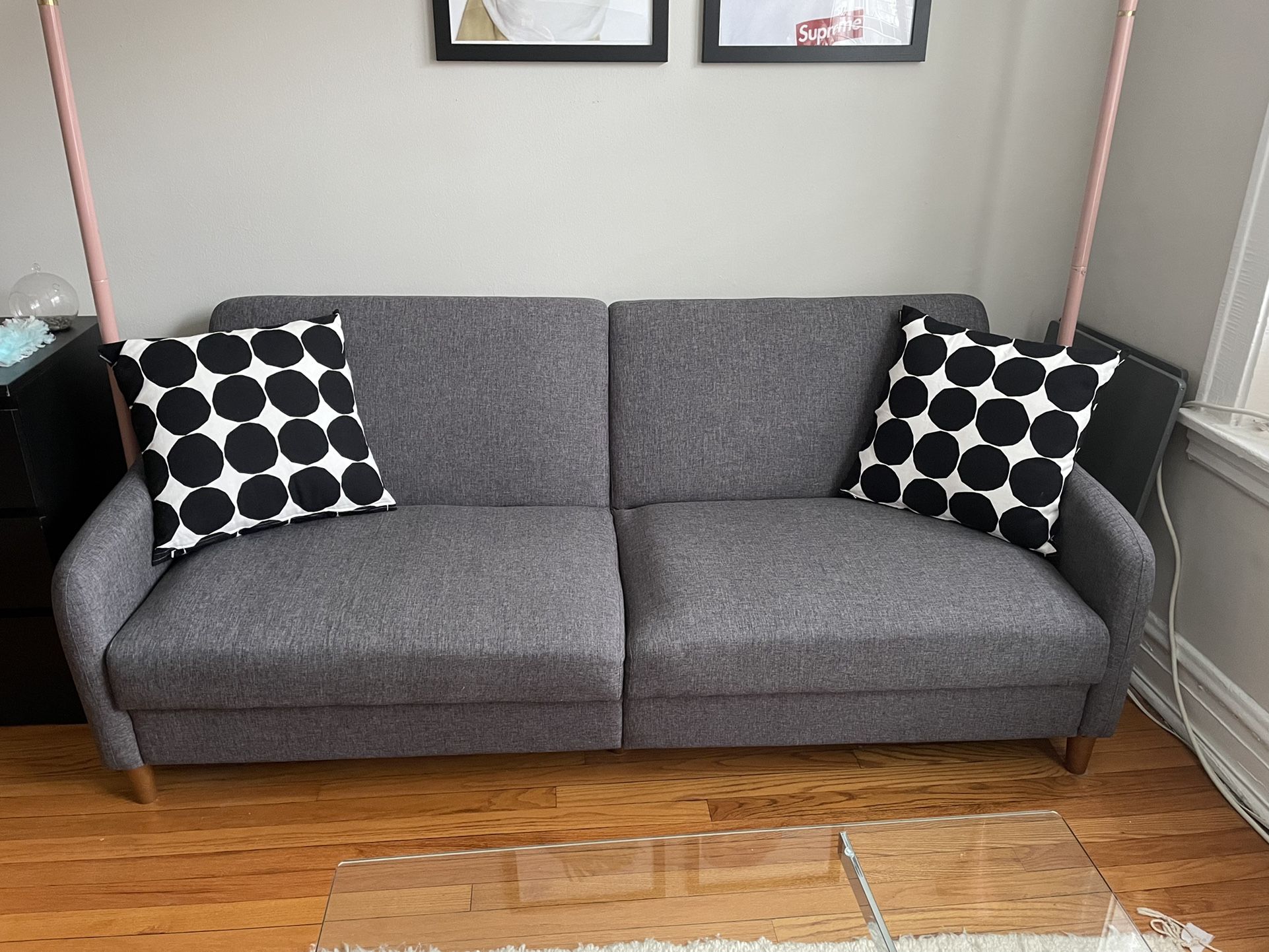 Modern Grey Sleeper Couch