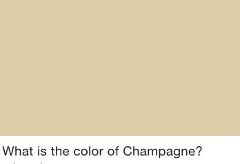 Wedding Dress (Champagne color)