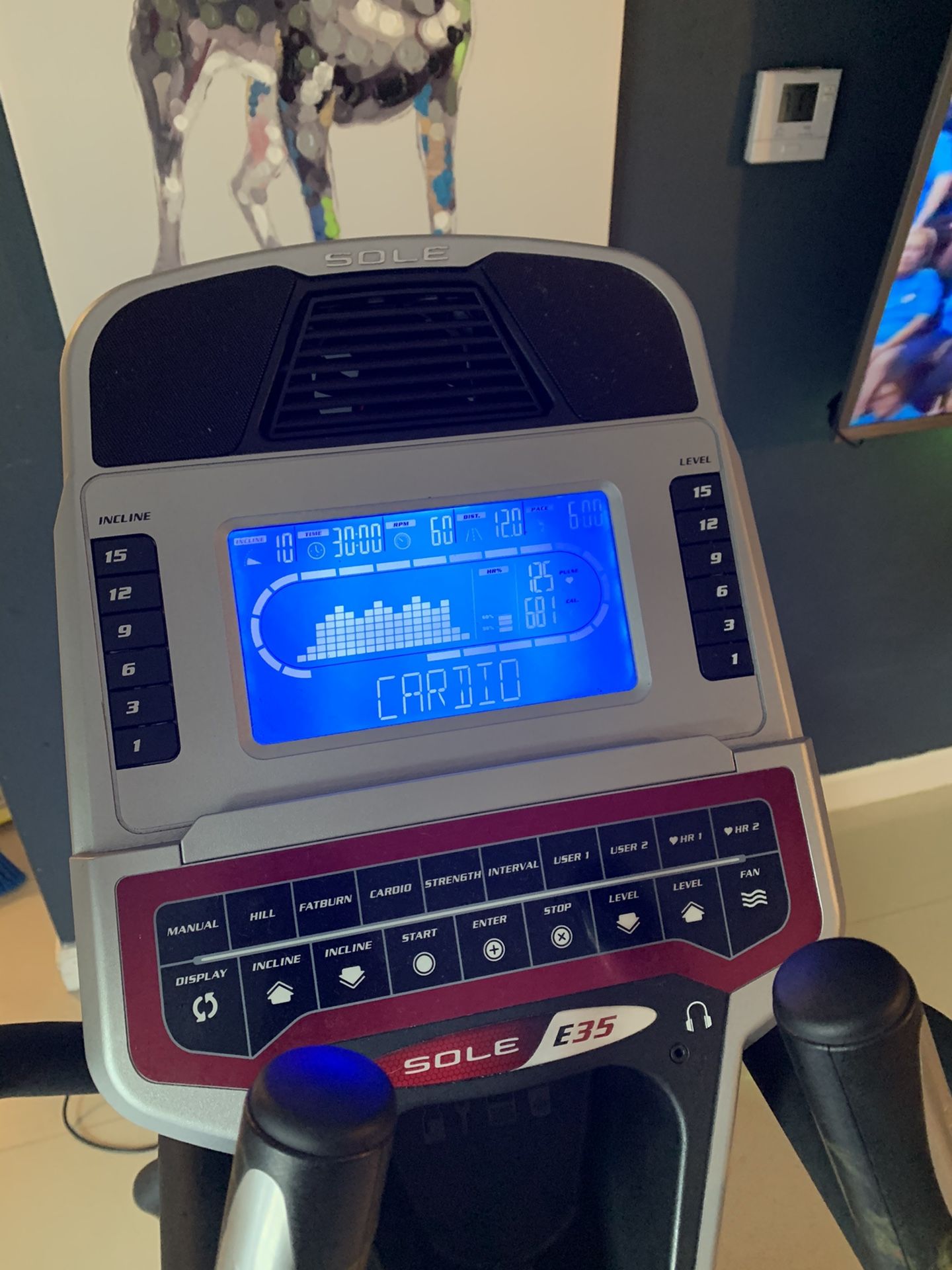 Buy Sole E35 Elliptical Machine and get FREE Century Original