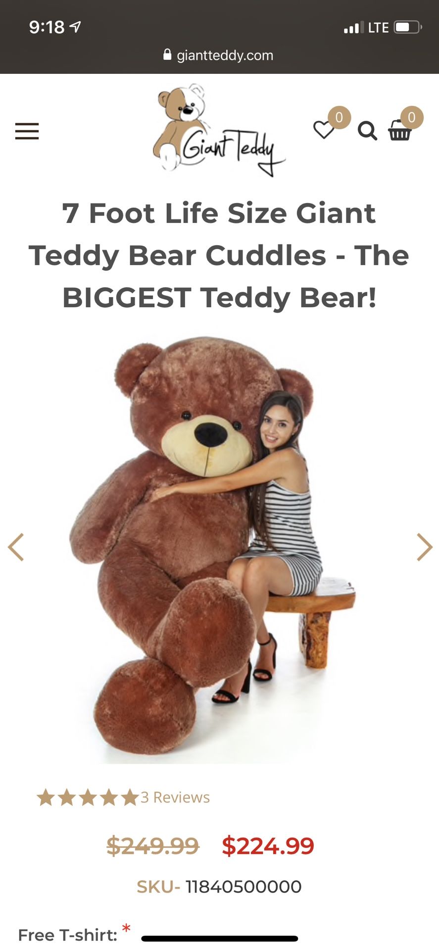 GIANT TEDDY BEAR