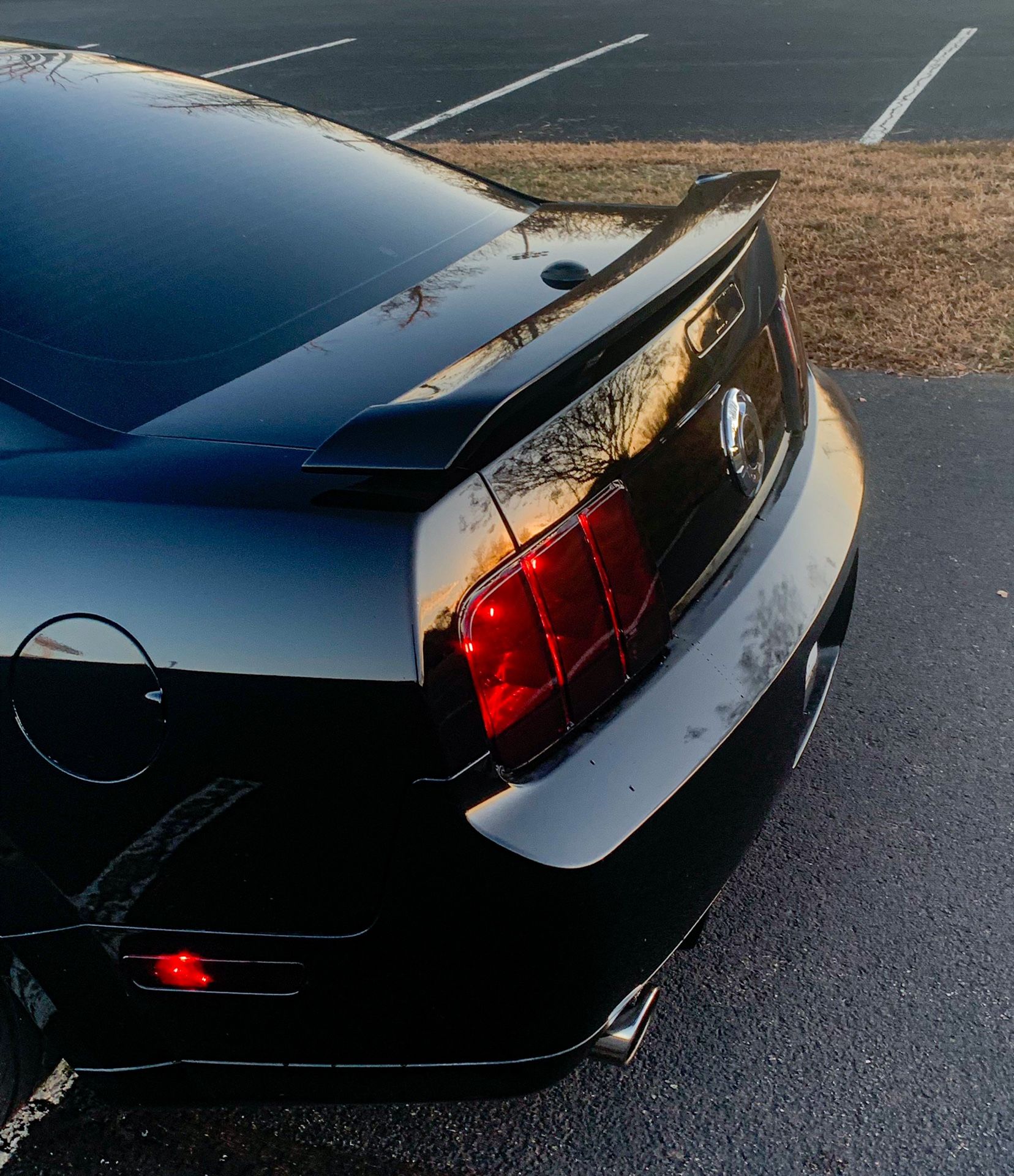 2008 Ford Mustang