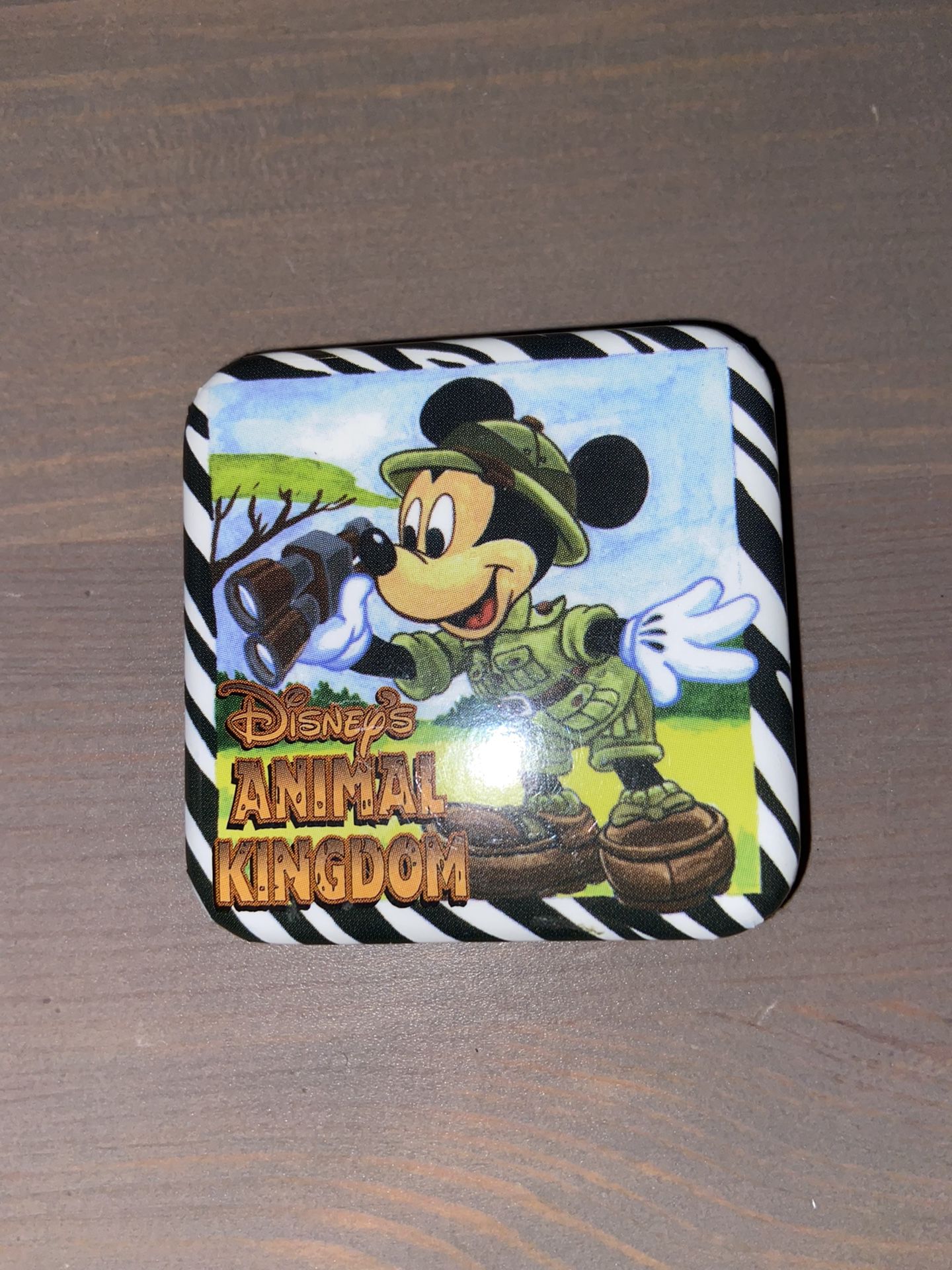 Disney’s Animal Kingdom Pin