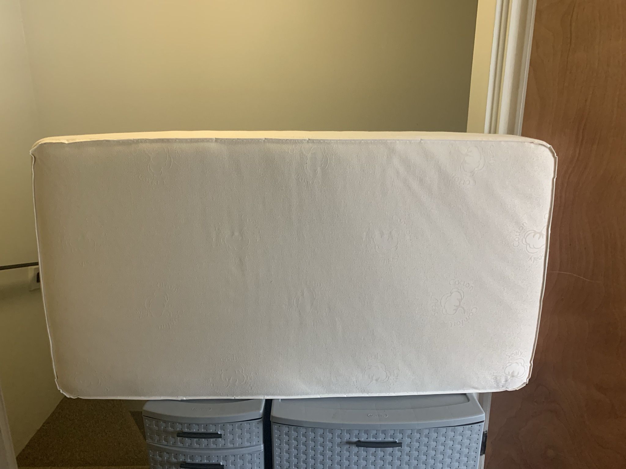 Sealy Crib Mattress