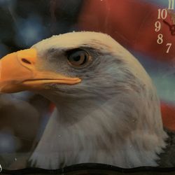 Eagle Clock Thumbnail