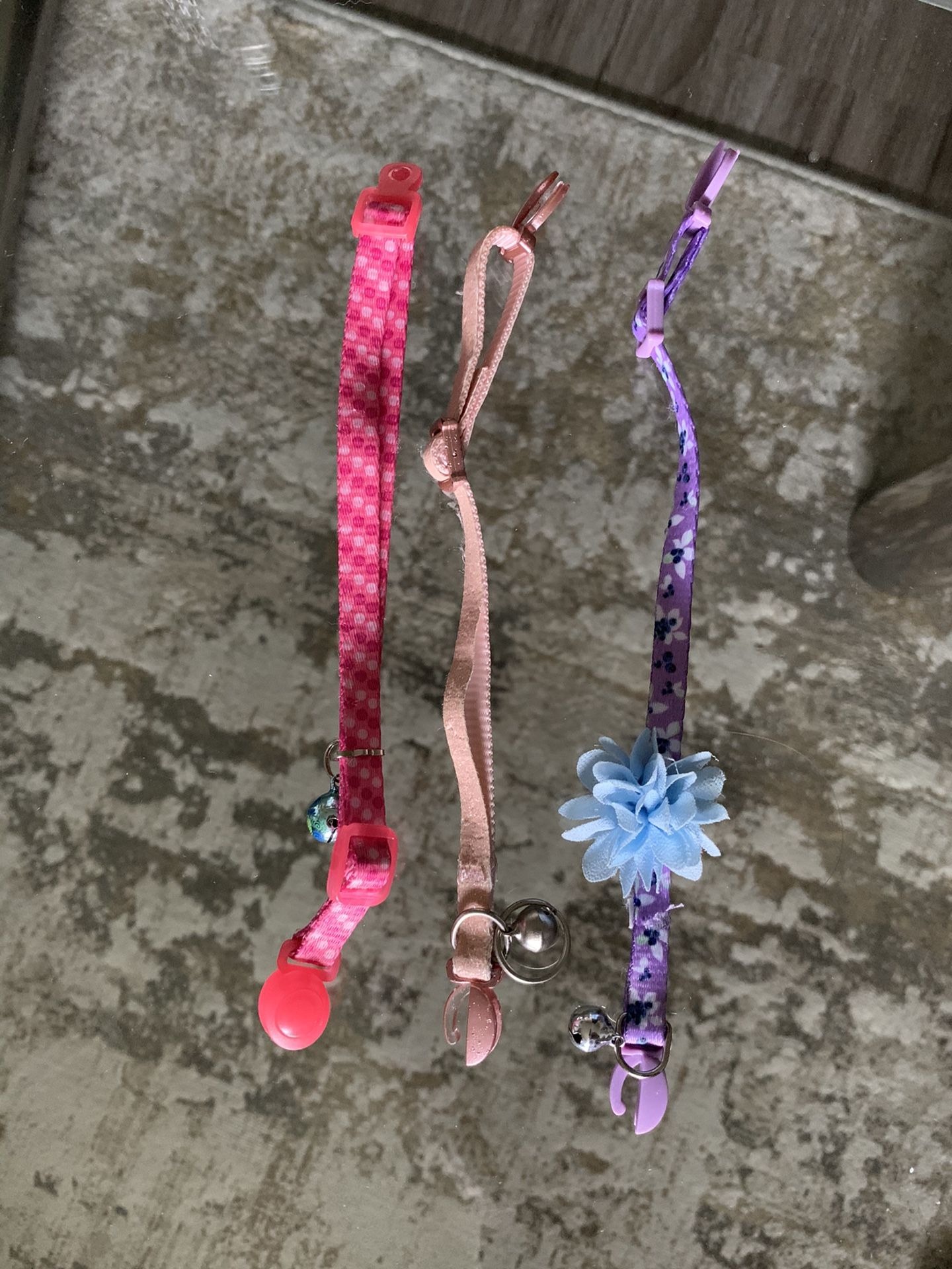 Kitten Collar