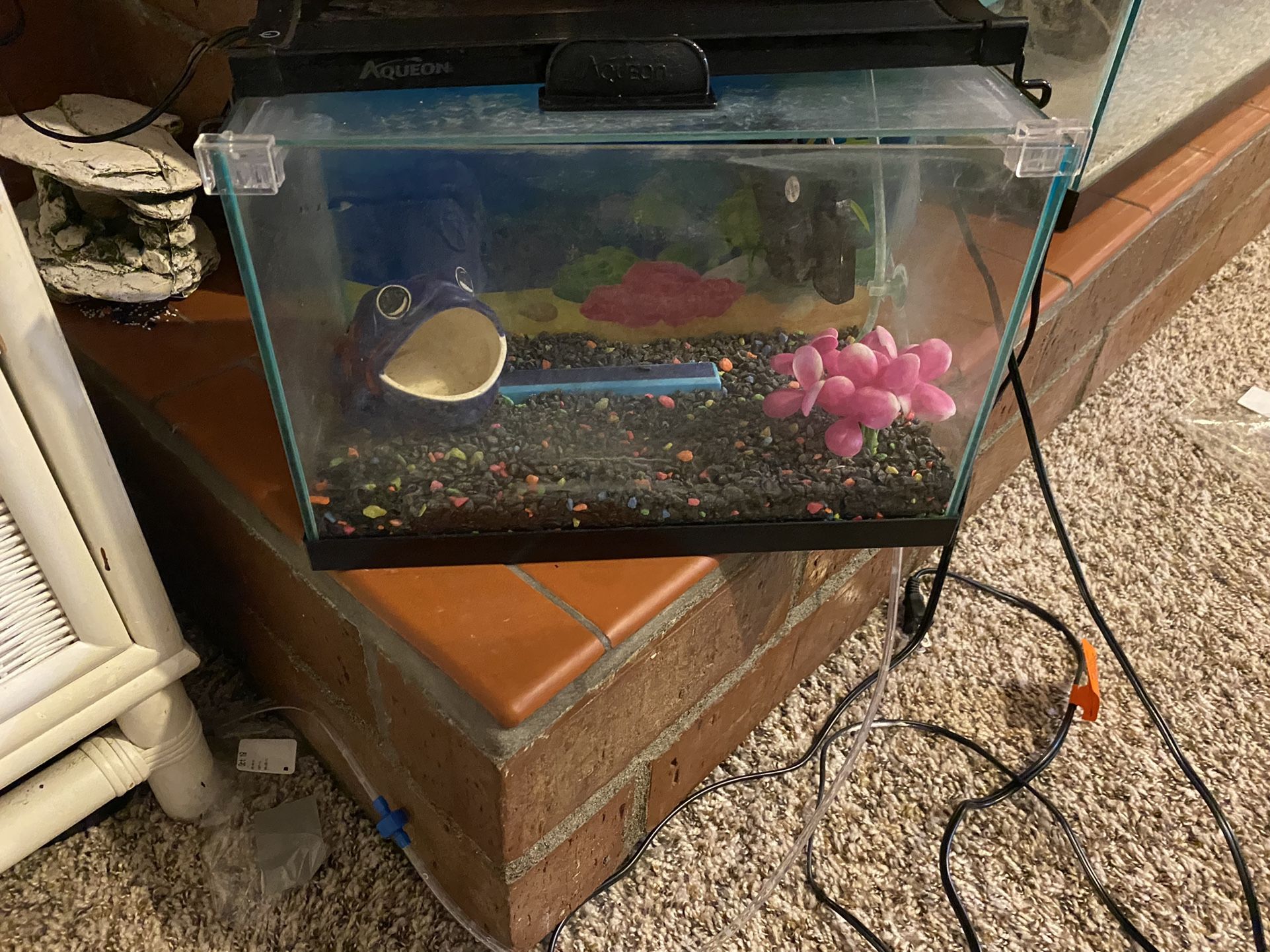 Aquarium’s & White dresser.
