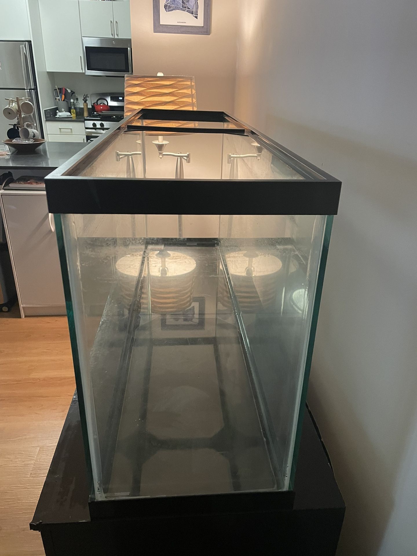 55 Gallon Tank
