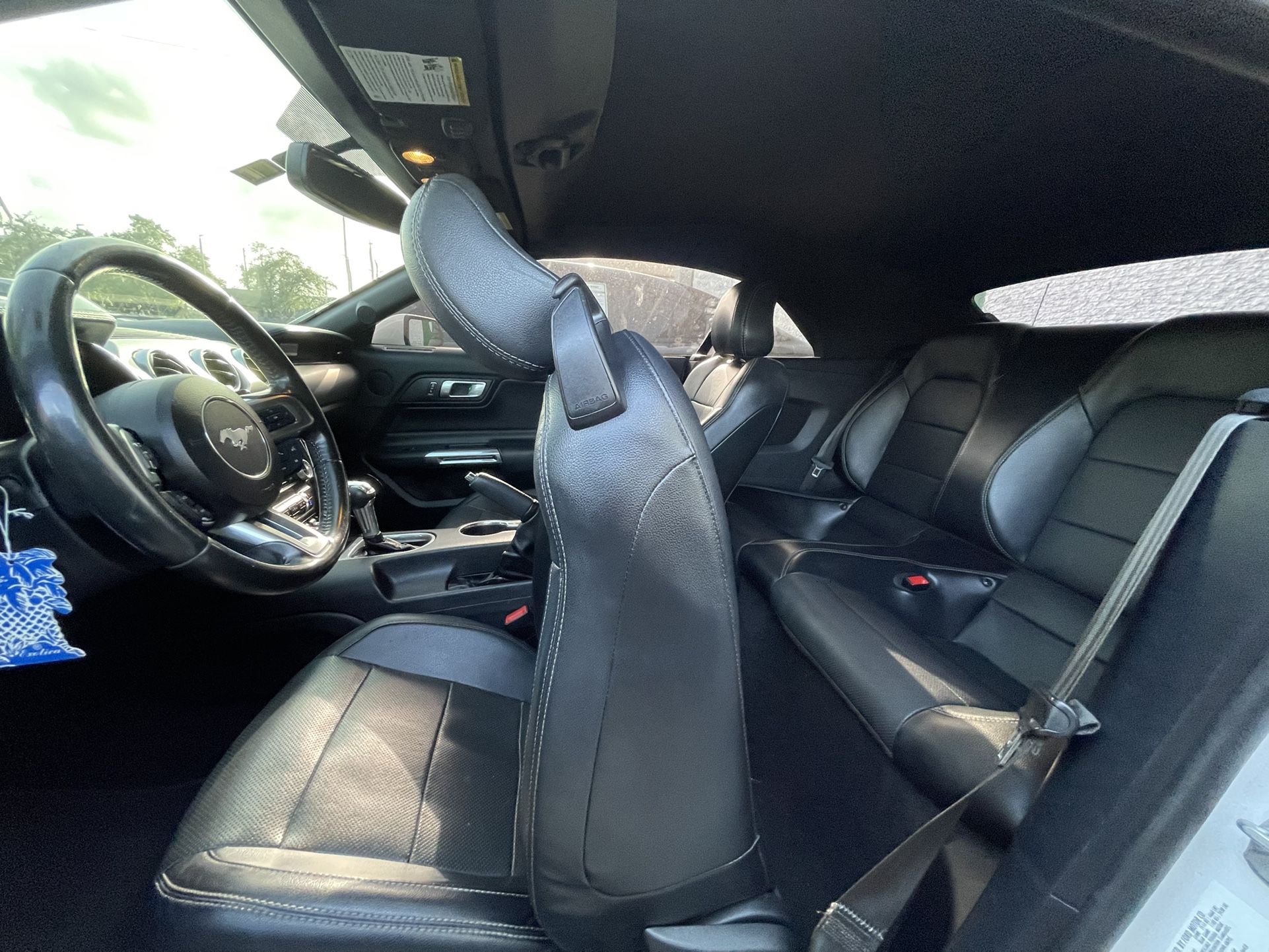 2019 Ford Mustang