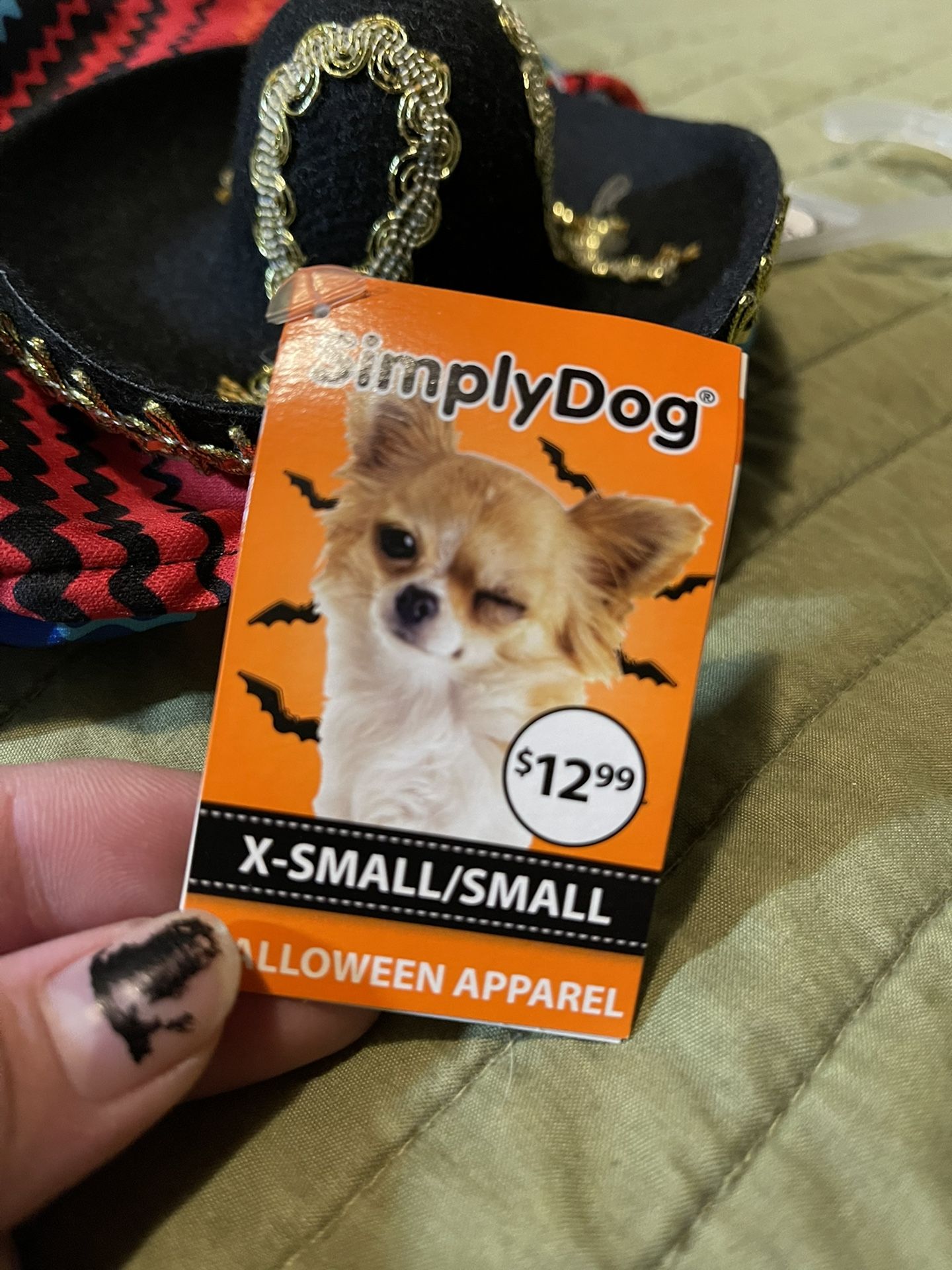 Cute Halloween Dog Costume