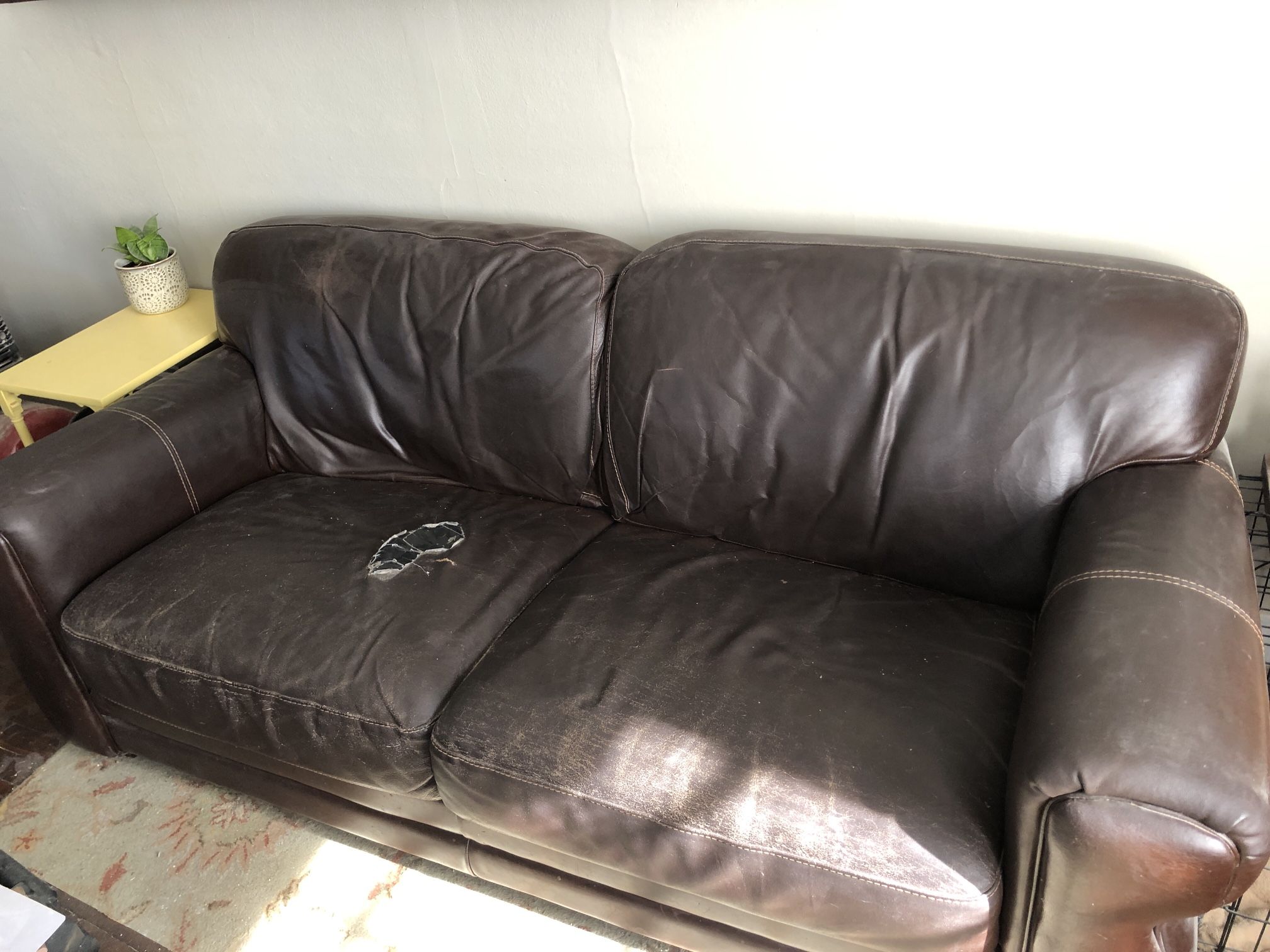 FREE Couch