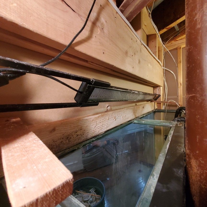 130 GALLONS FISH TANK WITH PUMP AND DECERATIOMS