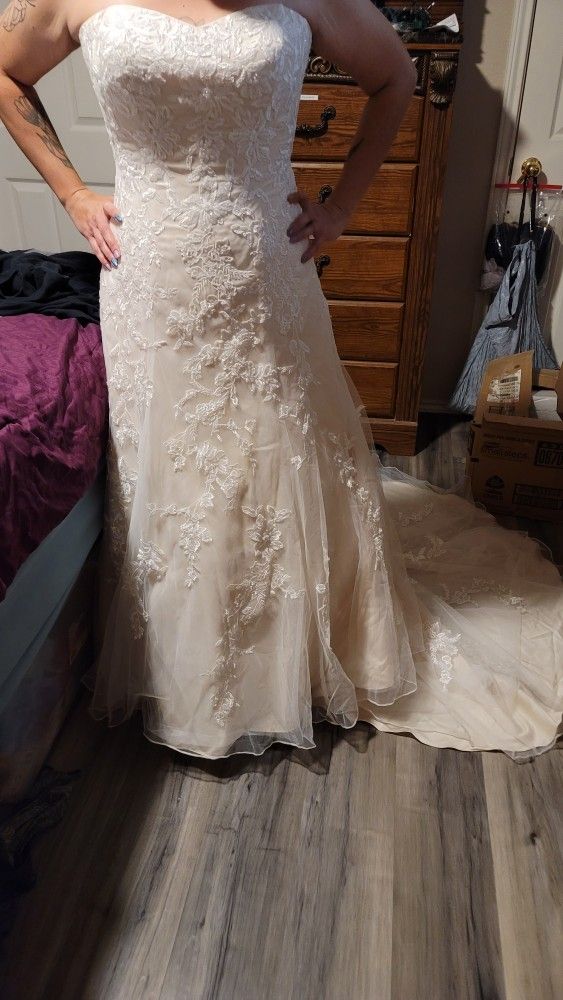 Davids Bridal Wedding Dress Size 14 & Accessories