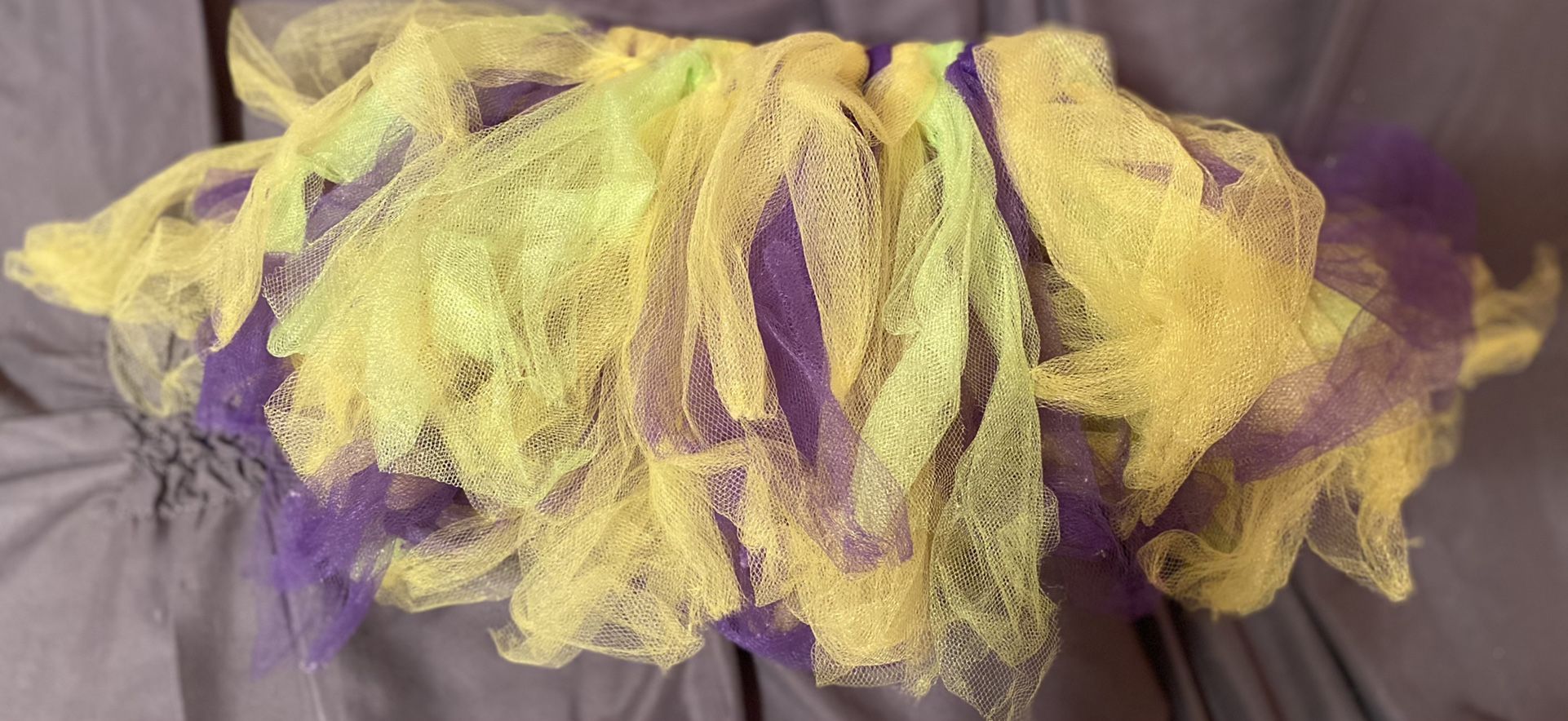 Baby Girl 6-12 Months Barney & Friends Tutu