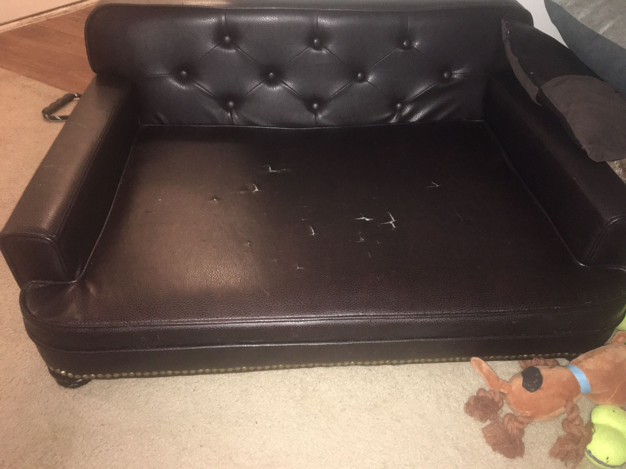 Dog Couch $20