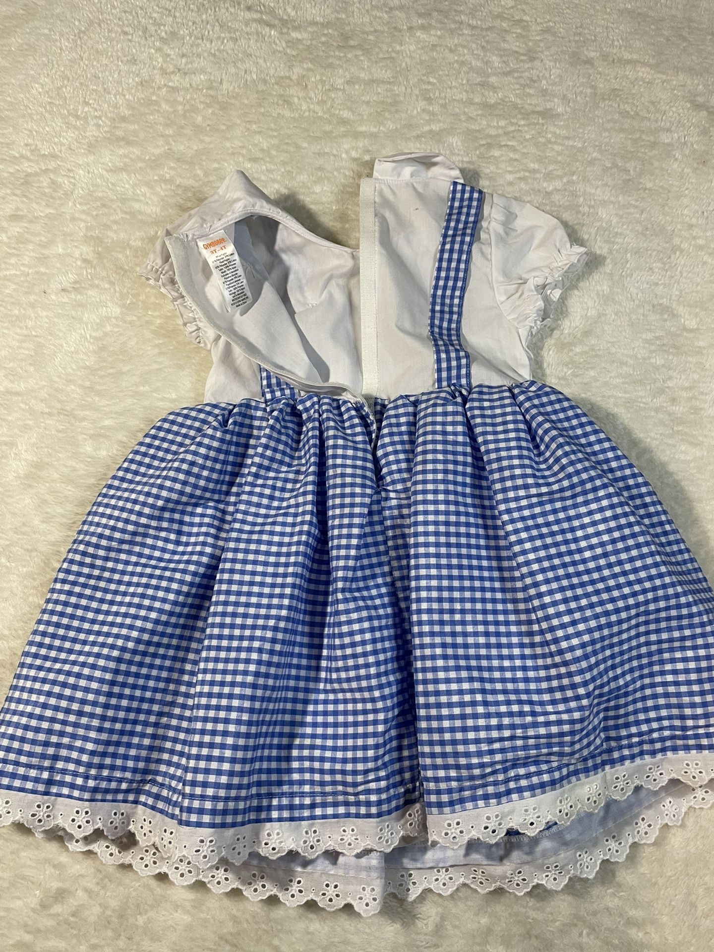 Gymboree 3T-4T Dorothy Costume