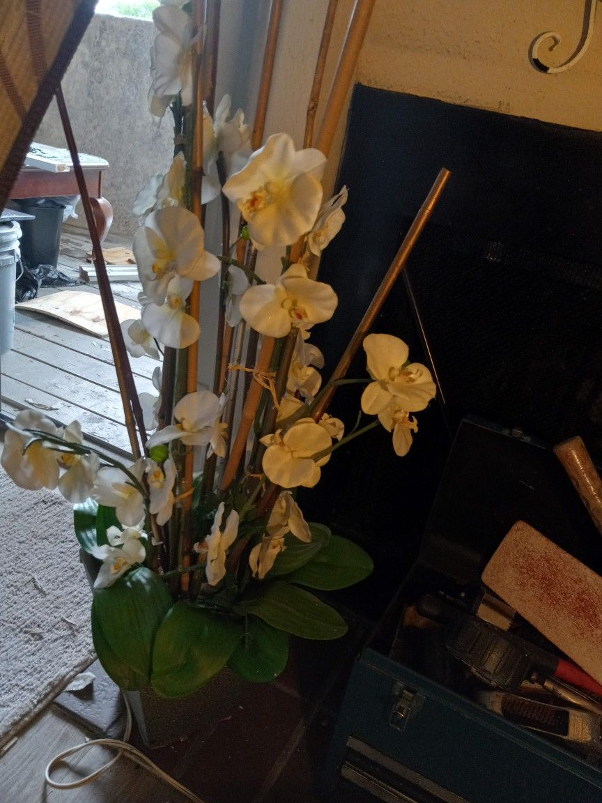 Fake Plants