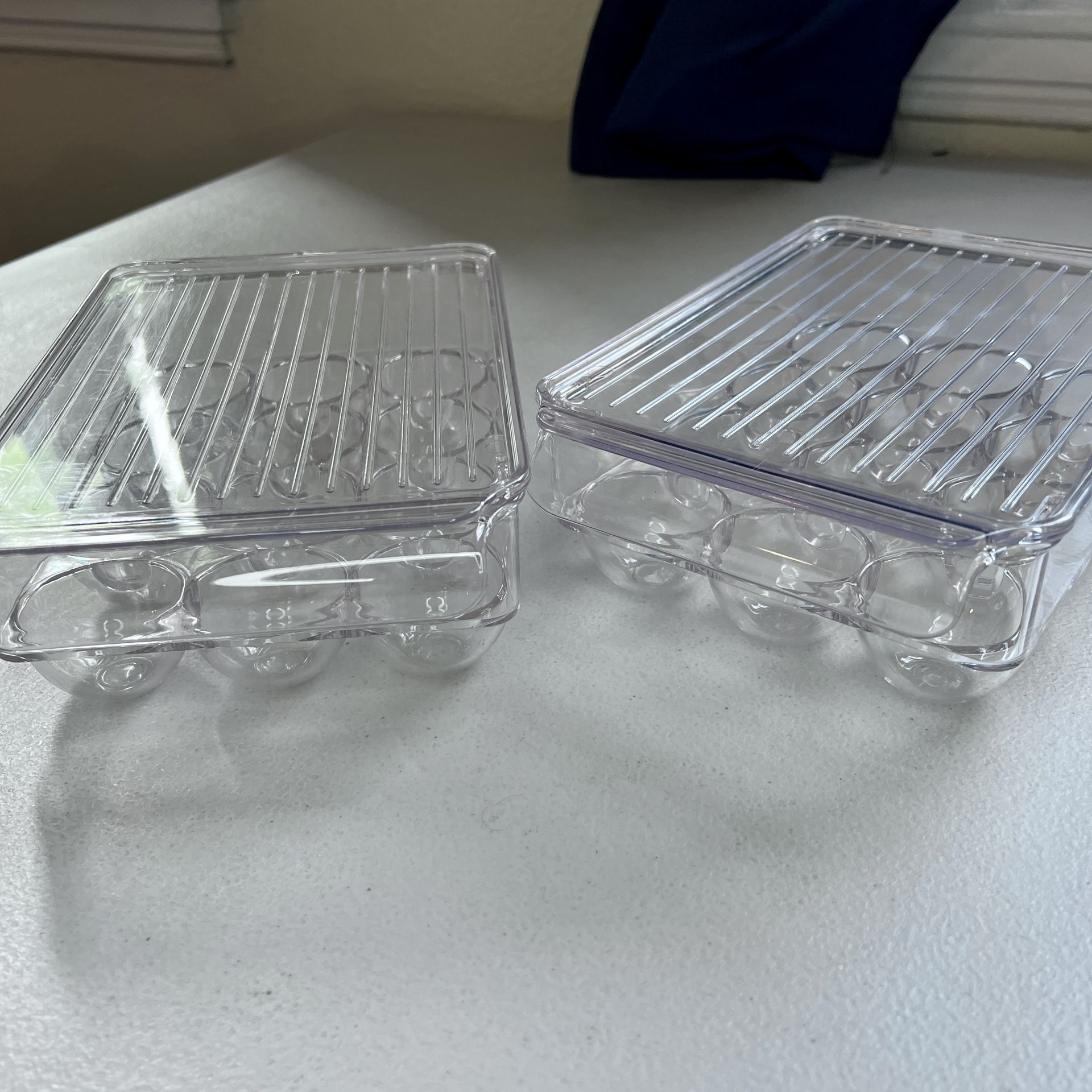 Egg Organizer/Holder (2)