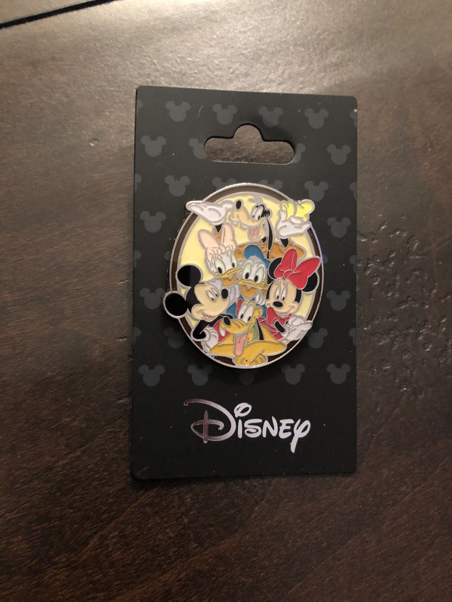Disney Pin, Mickey and gang: Pluto Minnie, Donald, Daisy and Goofy pin