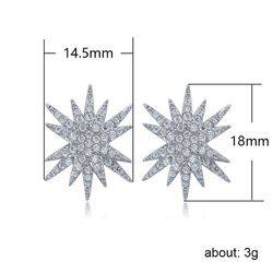 "Glitter Irregular Star Full Diamonds Zircon Stud Earrings for Women, L600
 
 Thumbnail