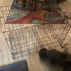 Dog Crate 36” New  36x23x25 With Divider Thumbnail