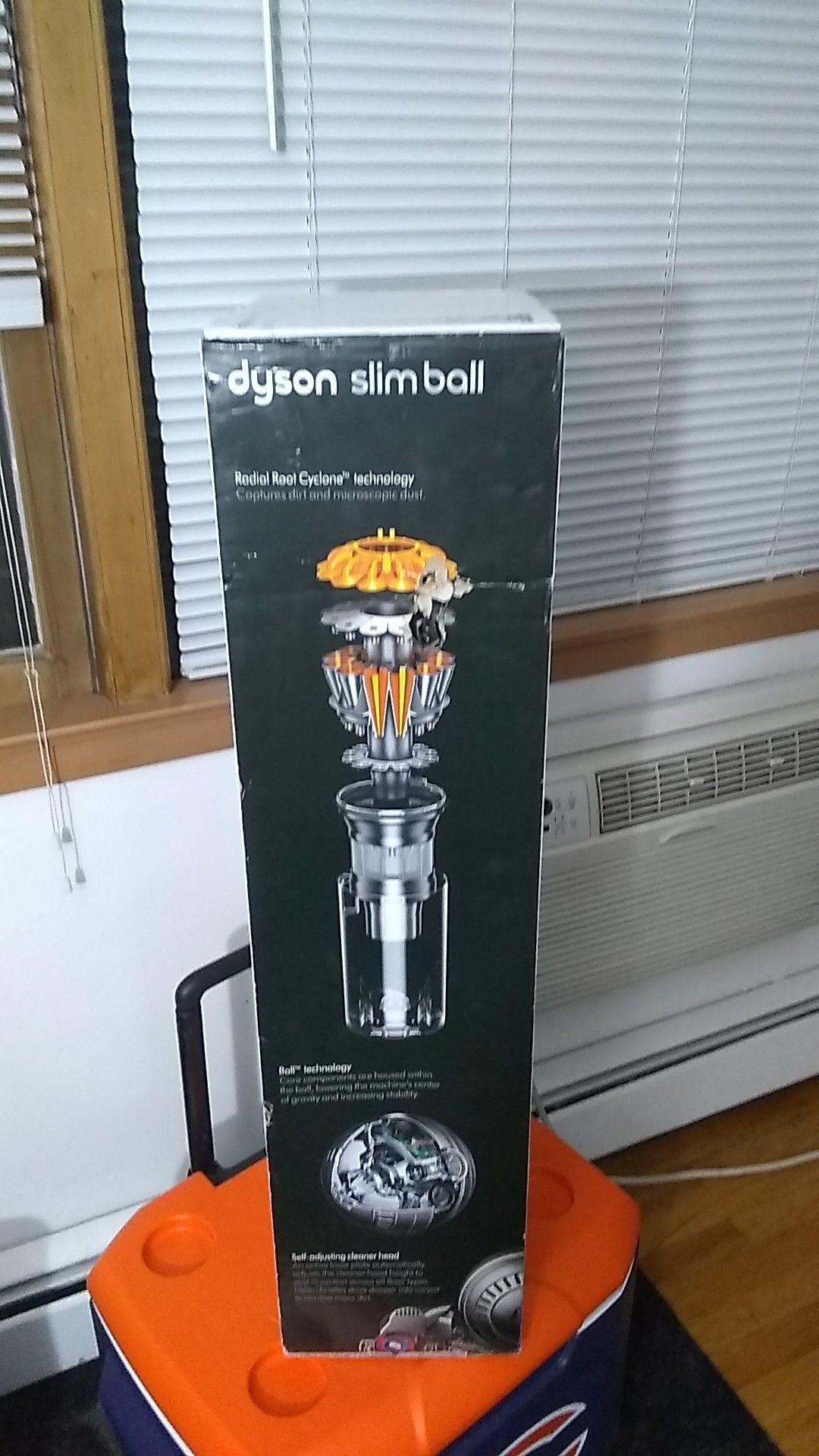 Dyson vacuum